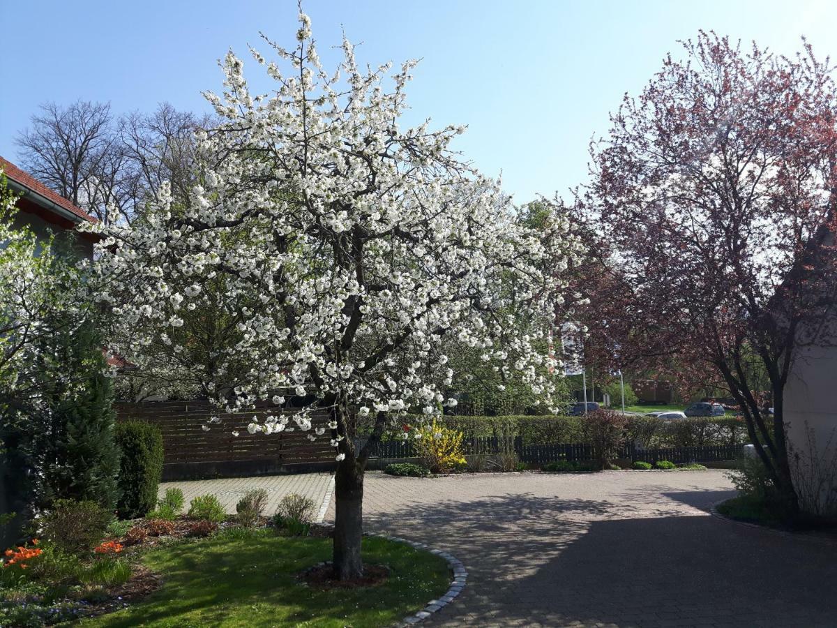 Der Kirschbaumhof Apartamento Strullendorf Exterior foto